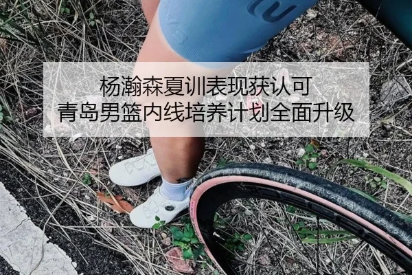杨瀚森夏训表现获认可 青岛男篮内线培养计划全面升级